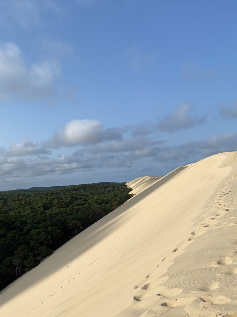 dune du pilat activité famille gironde bordeaux