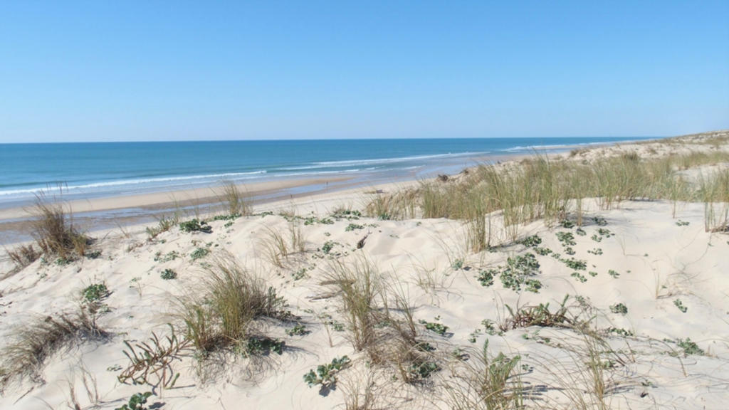 plage sauvage du porge océan accessible en bus depuis bordeaux