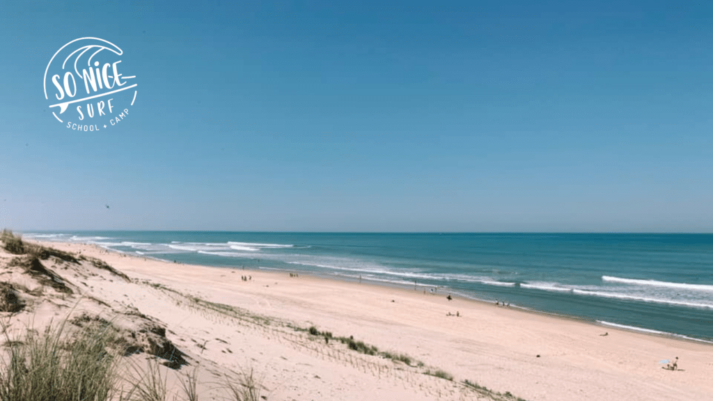 horaires bus bordeaux le porge ocean